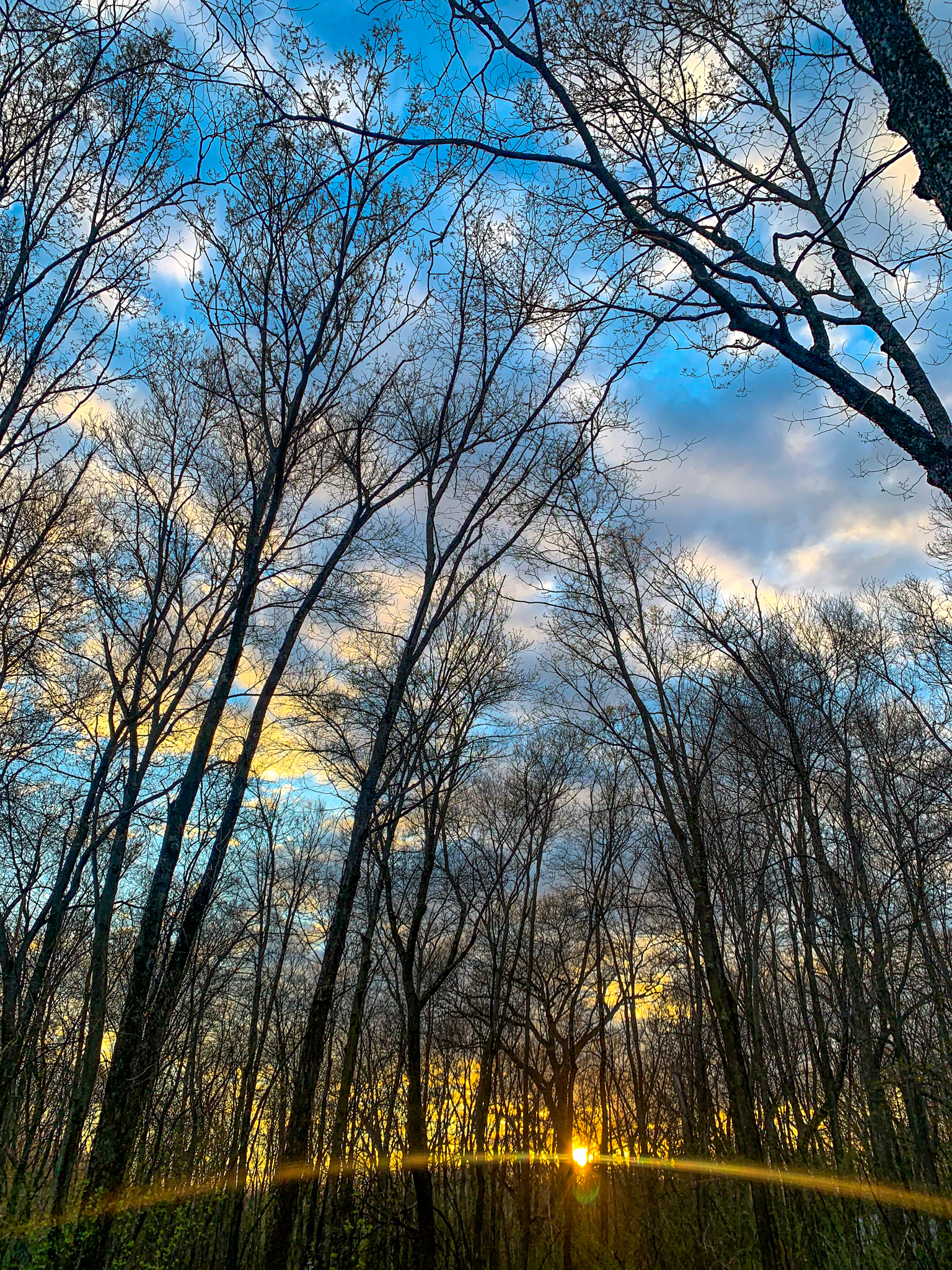 Sakatah Lake State Park